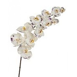 Орхидея Фаленопсис Super Real Touch цвет естественный белый с фиолет.крапинами в-100 см 11 цв 6/24