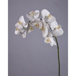 Орхидея Фаленопсис белая в-100 см, 11цв 4/24