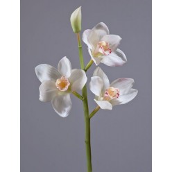 Орхидея Цимбидиум ветвь белая малая в-50 см, 3 цв, 1бут 12/48