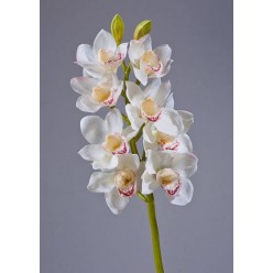 Орхидея Цимбидиум белая ветвь средняя в-67 см 8цв,2бут 6/30