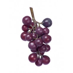 Виноград черный гроздь