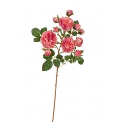 Роза Дэвид Остин ветка пастельно-розово-малиновая (3 цв, 8 бут) в-51 см 12/96