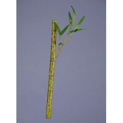 Бамбук стебель длинный св.зеленый с веточкой в-39 см д-2 см 24/288