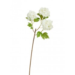 Калина Бульдонеж (Вибурнум) белая ветка 3 соцветия