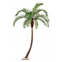 Гигантская изогнутая Финиковая пальма 3 м (сборная) 