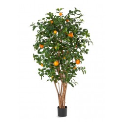 Апельсиновое дерево с плодами в-180 см 2/2
