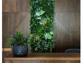 Фитопанно для бизнес-центра Smart