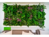 Озеленение Green Clinic