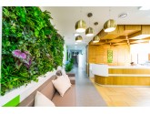 Озеленение Green Clinic