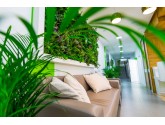 Озеленение Green Clinic