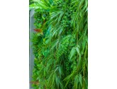 Стена из искусственных растений 03004