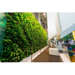 Озеленение павильона Индии на международной выставке ЭКСПО