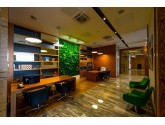 Фито стена для Wyndham Garden