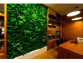 Фито стена для Wyndham Garden