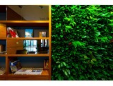 Фито стена для Wyndham Garden