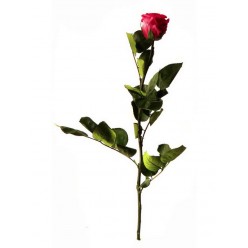 Амороза Стандарт Навал 30 розовый