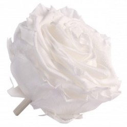 Роза премиум 4 гол. белый