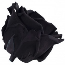 Роза Премиум 4гол. черный