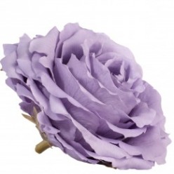 Роза король 1 гол. фиолетовый