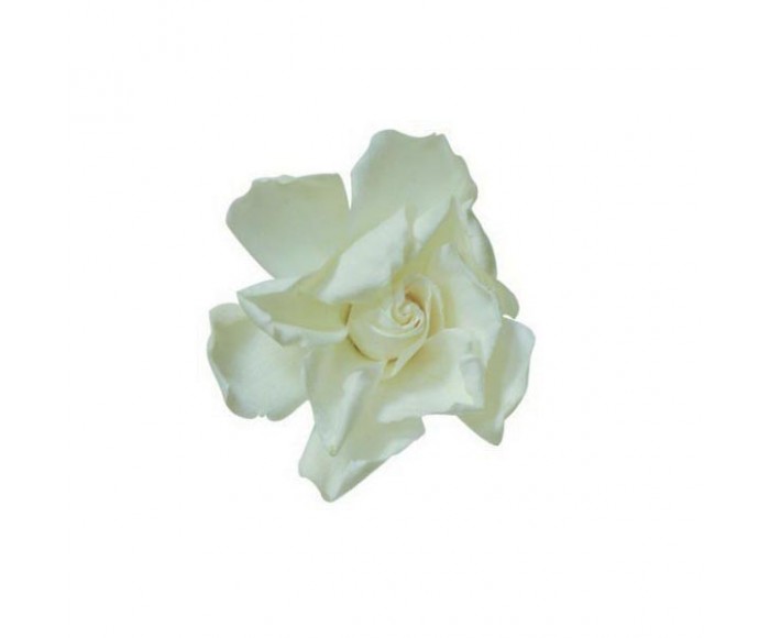 Гардения Цветок белый