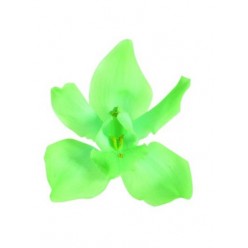 Орхидея Цимбидиум 4 гол. зеленый