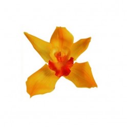 Орхидея Цимбидиум 4 гол. желтый