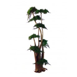 Дерево Джумбо Фукука 190см зеленый
