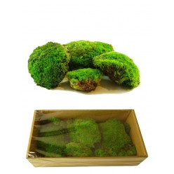 Мох шарообразный зеленый 250 гр