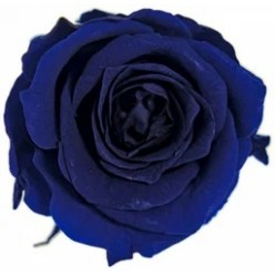 Роза Медиум синий