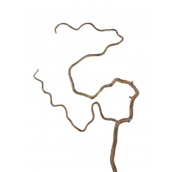 Ветка Салекса изогнутая светло-коричневая 