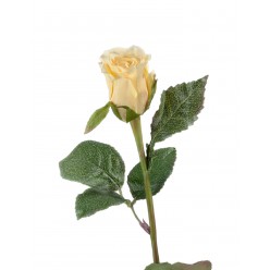 Роза Анабель бледно-золотисто-розовая 