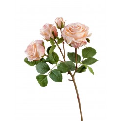 Роза Флорибунда ветвь св.розовая 