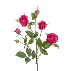 Роза Вайлд ветвь темно-малиновая 