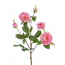 Роза Вайлд ветвь розовая 