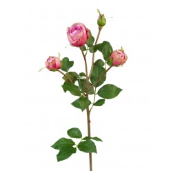 Роза Пале-Рояль ветвь малиново-розовая 