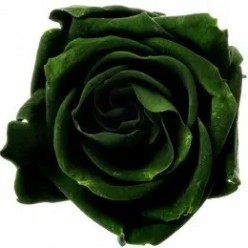 Роза Мини темно-зеленый