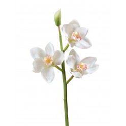 Орхидея Цимбидиум ветвь белая малая в-50 см, 3 цв, 1бут 12/48