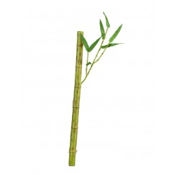 Бамбук стебель длинный светло-зеленый с веточкой 