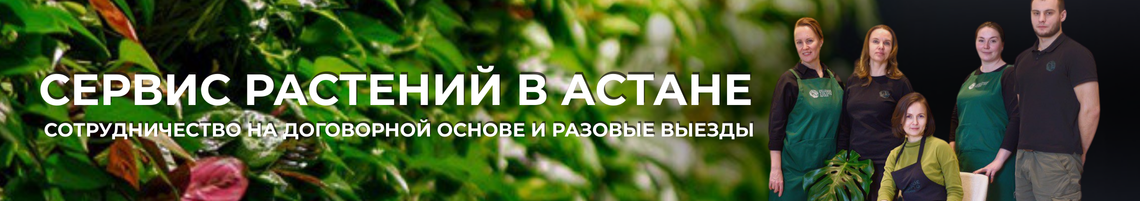 Уход за вашими растениями